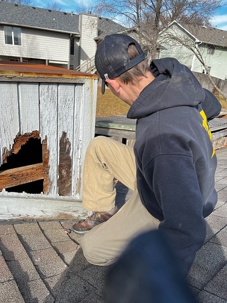 Raccoon Pest Control Inspection on Roof